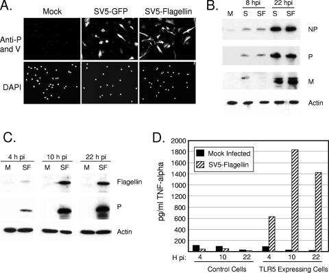 FIG. 4.