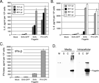 FIG. 3.