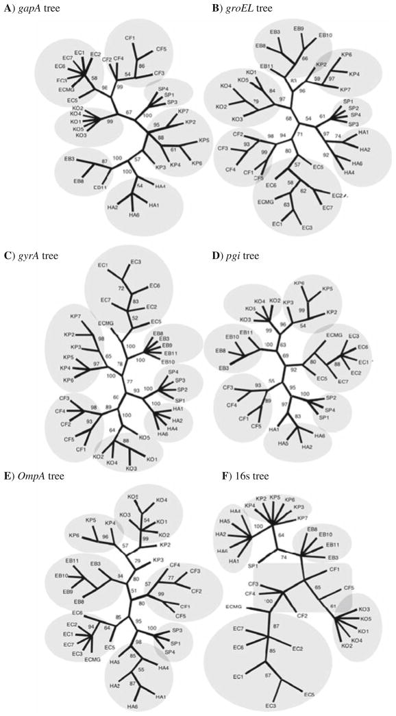 Fig. 21.2