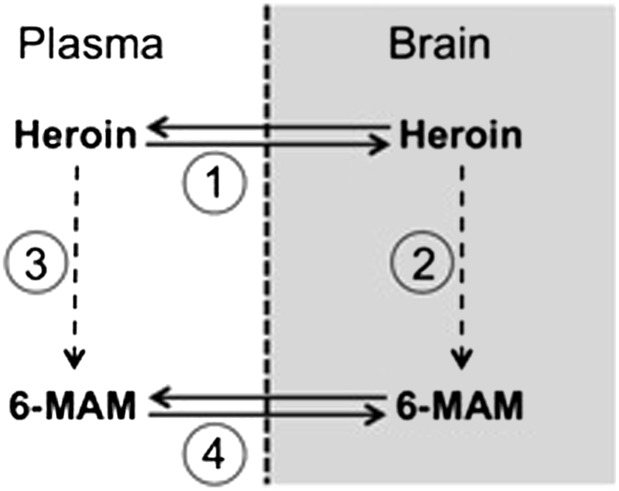 Fig. 10.