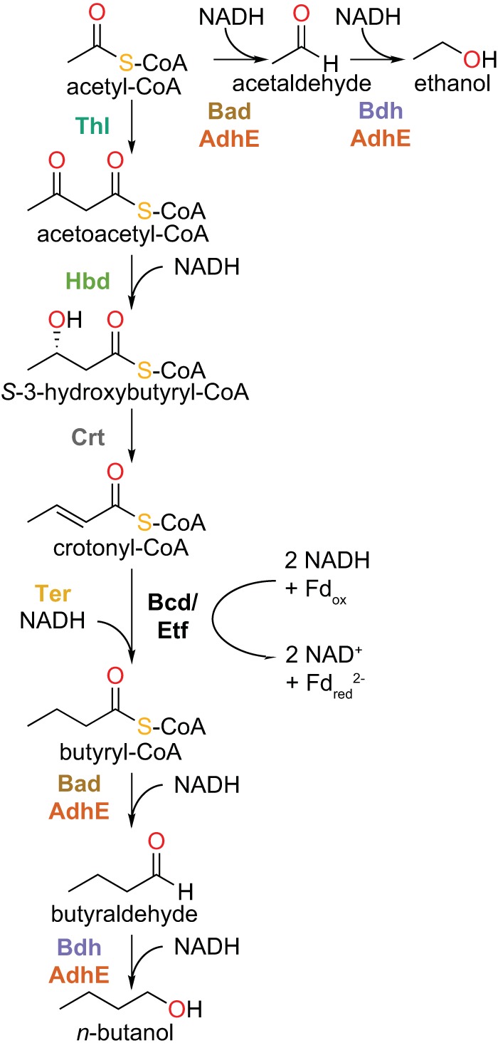 FIG 1