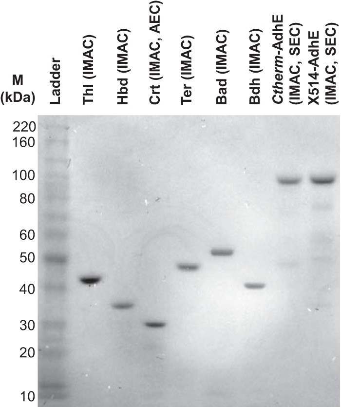 FIG 2