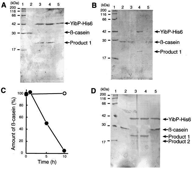 FIG. 7.