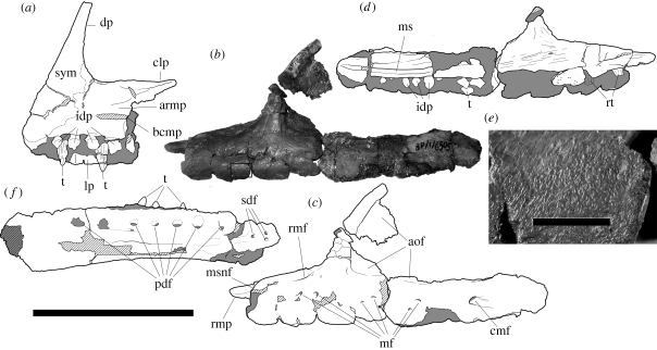 Figure 1.