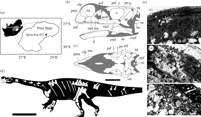 Figure 2.