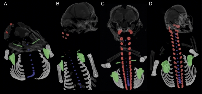 Fig. 3.