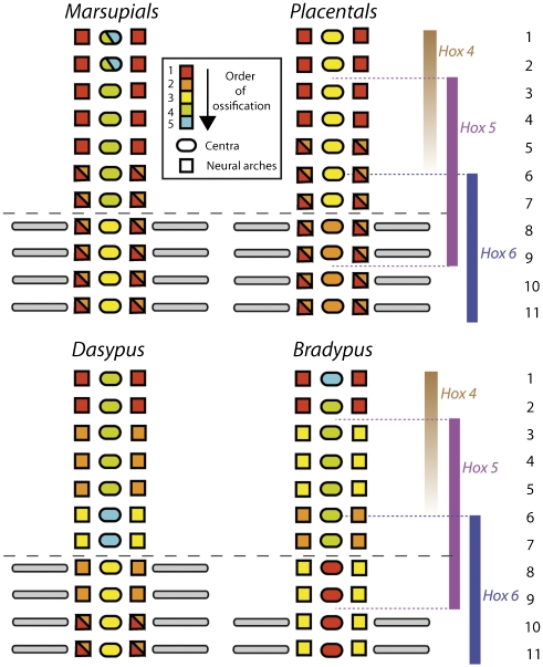 Fig. 4.