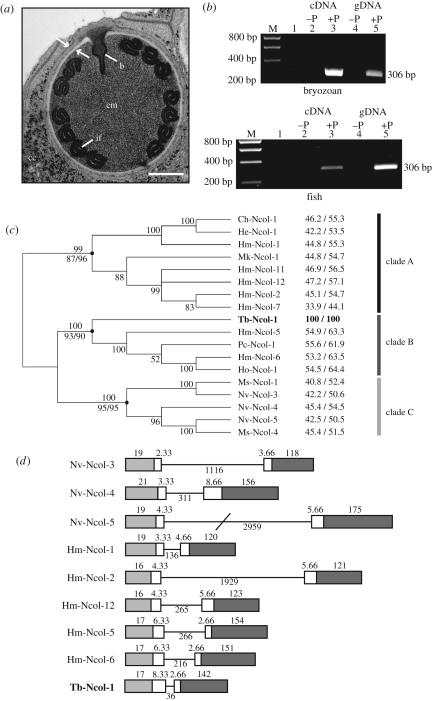 Figure 1.