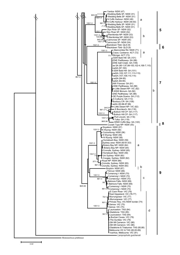 Figure 5