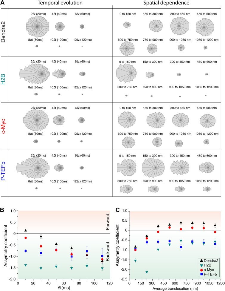 Figure 4—figure supplement 1.