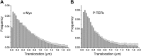 Figure 3—figure supplement 2.