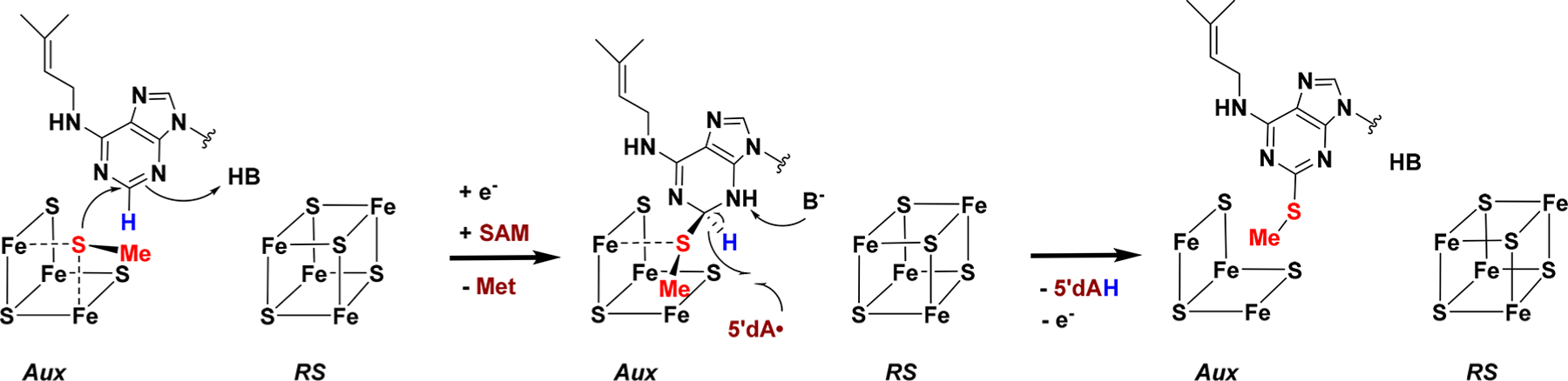 Scheme 3.