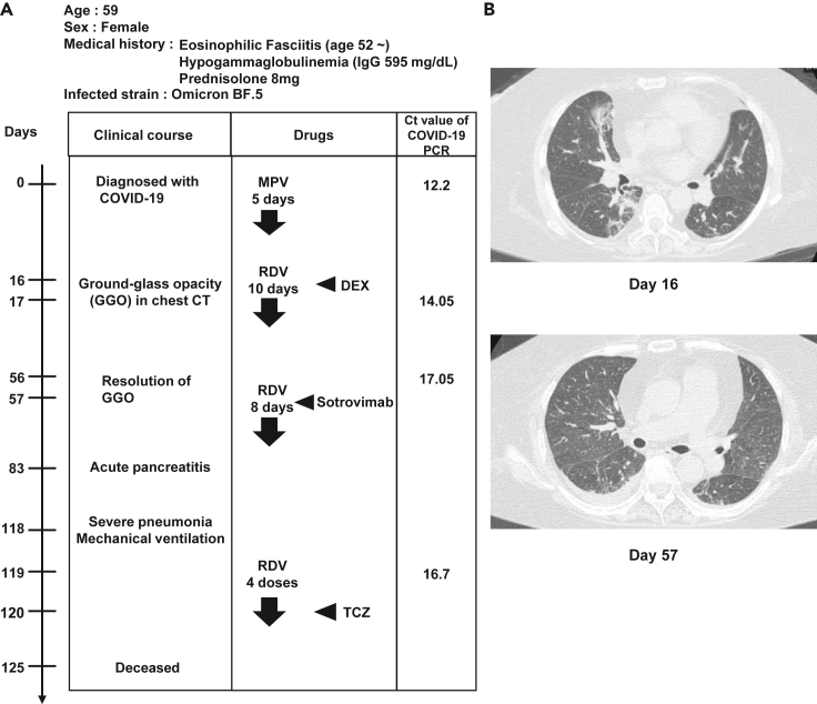 Figure 1