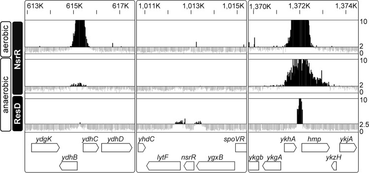 FIG 1