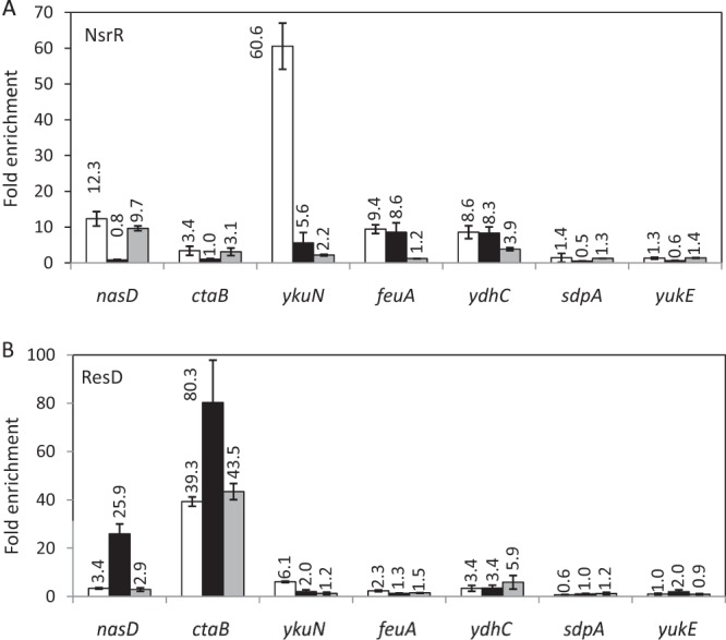 FIG 2