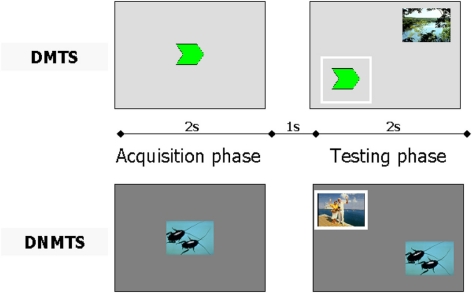 EEG and Autonomic Responses During Performance of Matching and Non ...