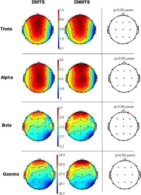 EEG and Autonomic Responses During Performance of Matching and Non ...