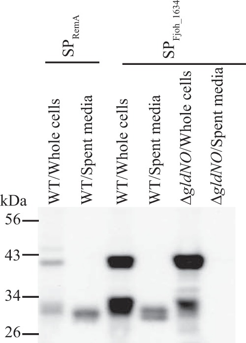 FIG 5