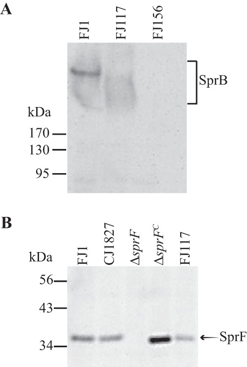 FIG 10