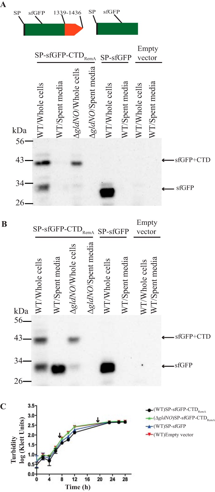 FIG 2