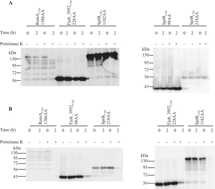 FIG 12