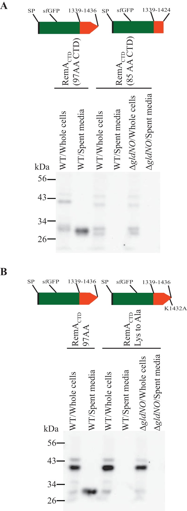 FIG 6