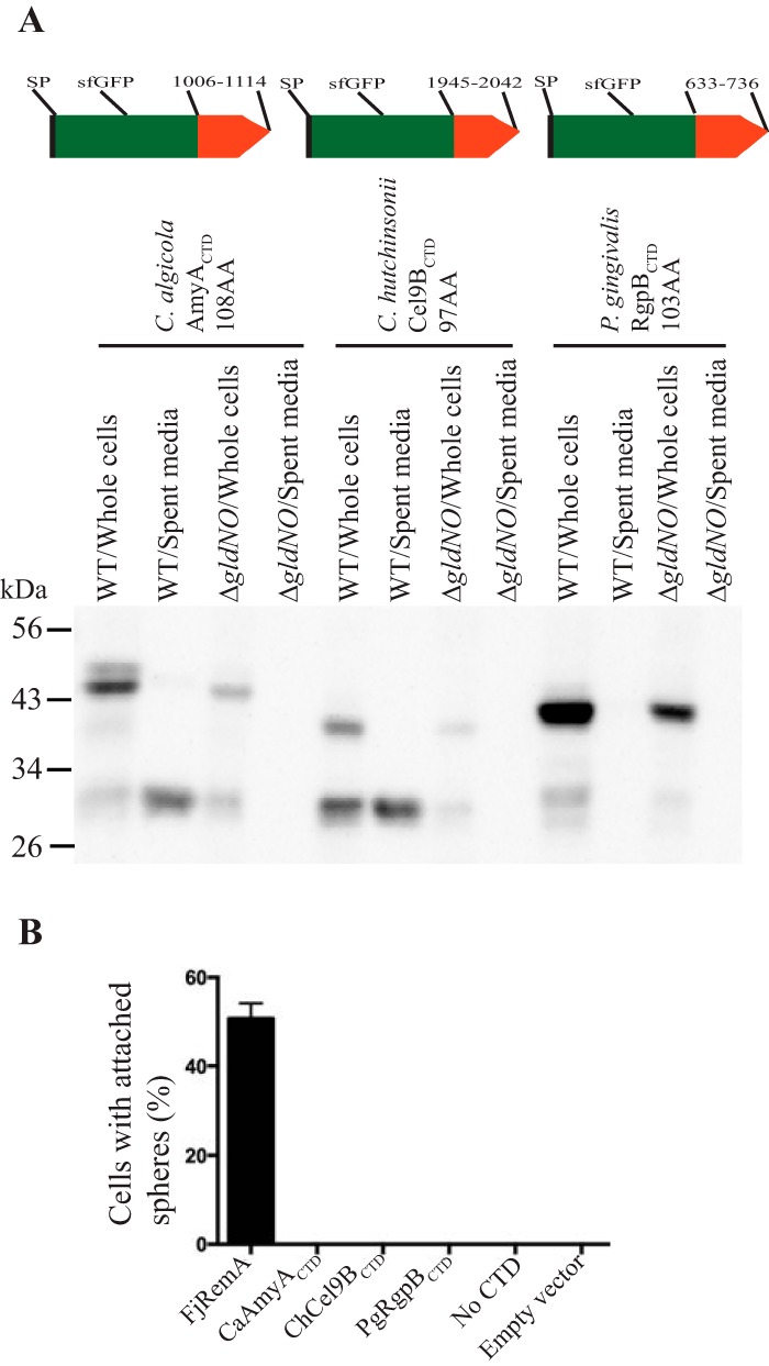 FIG 9