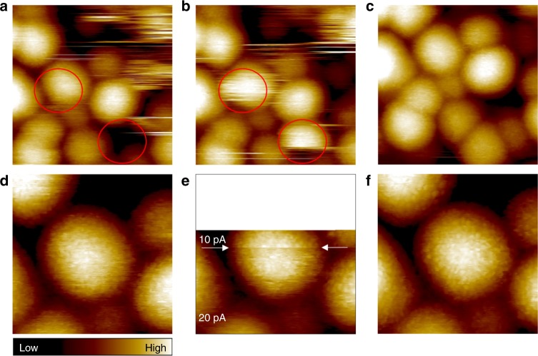 Fig. 2