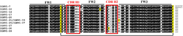 FIGURE 1.