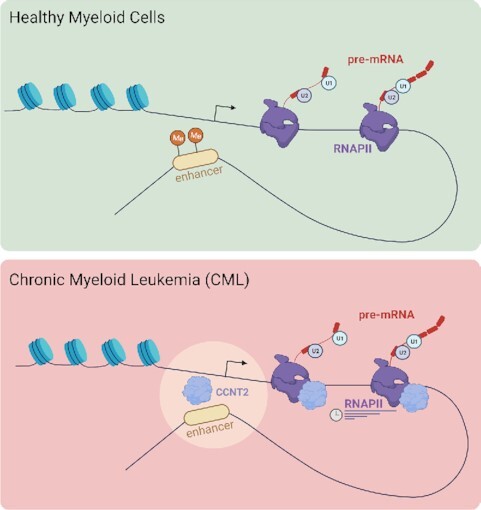 Graphical Abstract