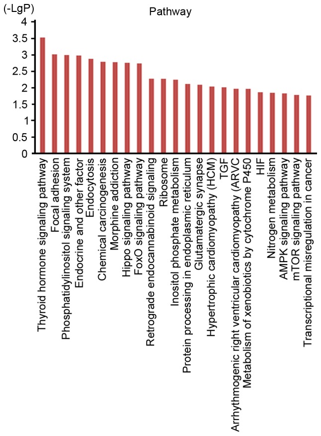 Figure 4.