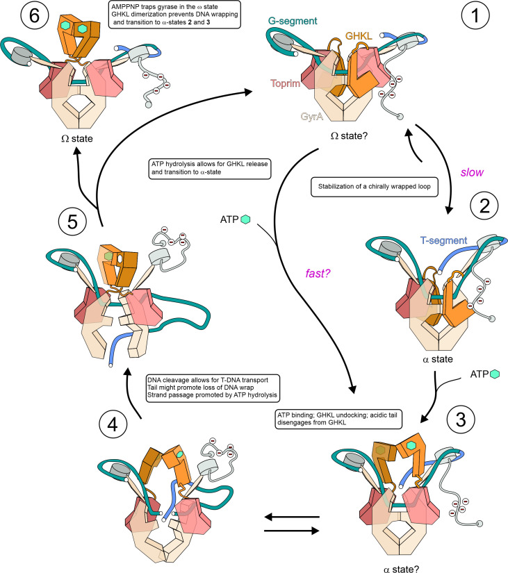 Fig. 4.