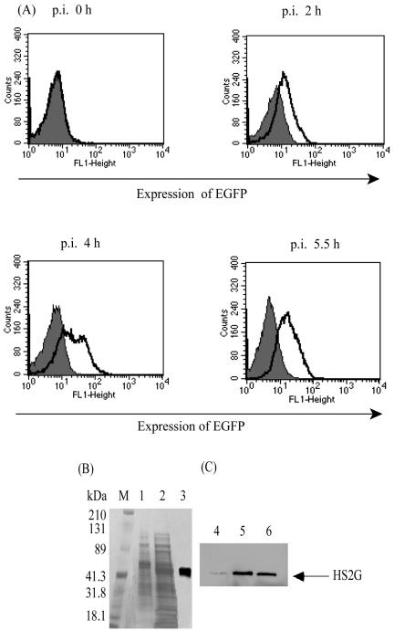 FIG. 3.