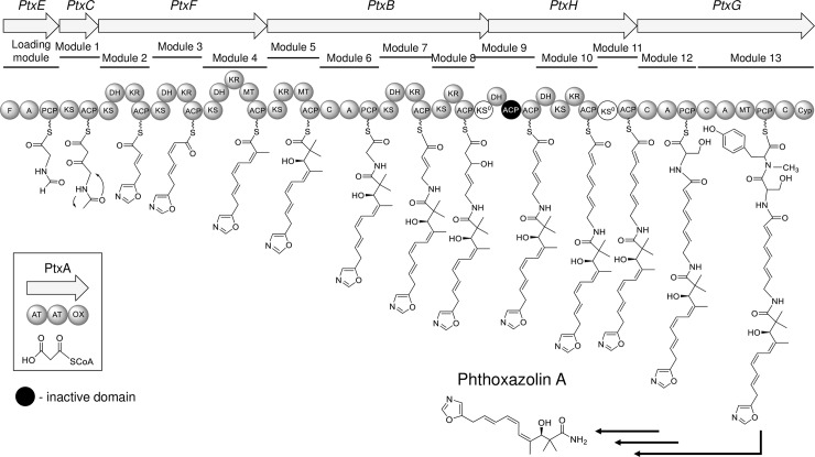 Fig 4