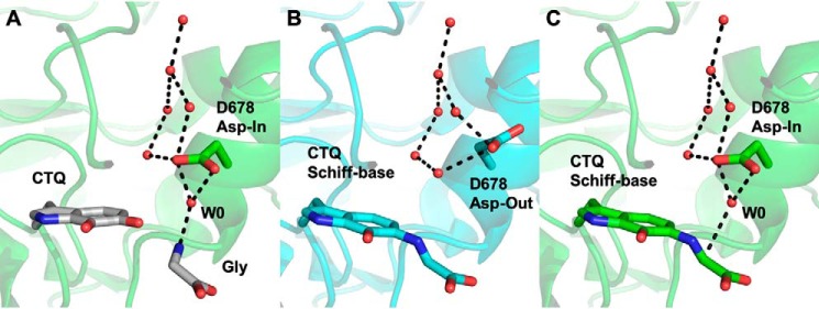 Figure 10.