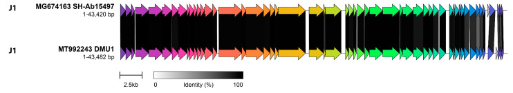 Figure 11