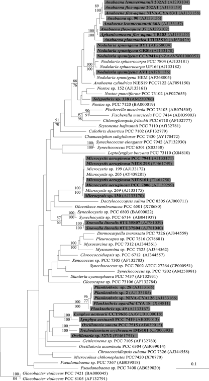 FIG. 2.