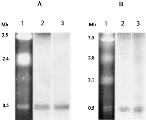 FIG. 4.