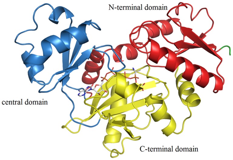 Figure 1