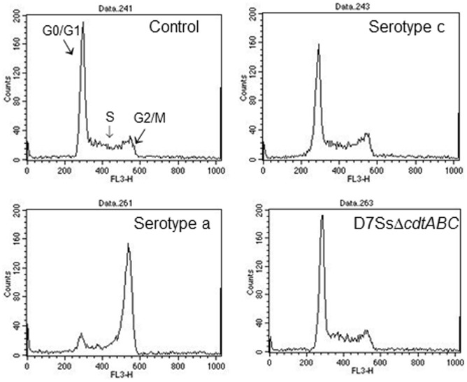 Figure 3