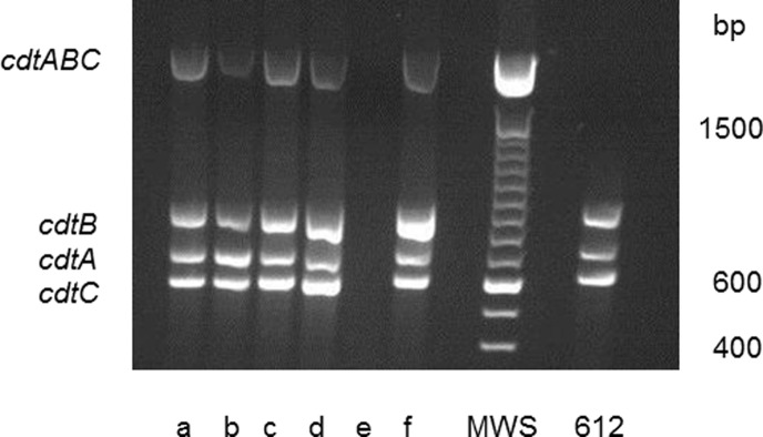 Figure 2