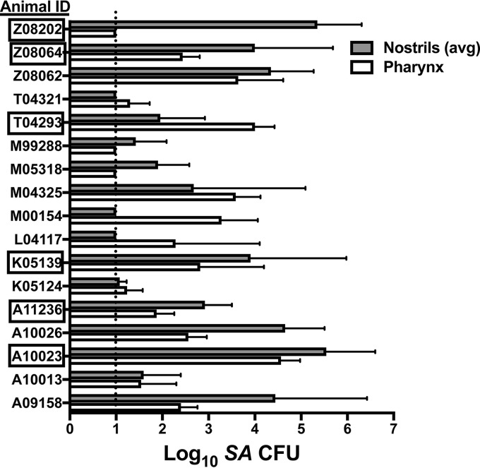 FIG 1