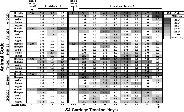 FIG 3