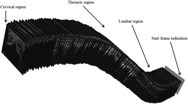 Figure 5