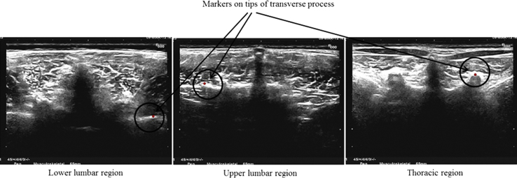 Figure 7