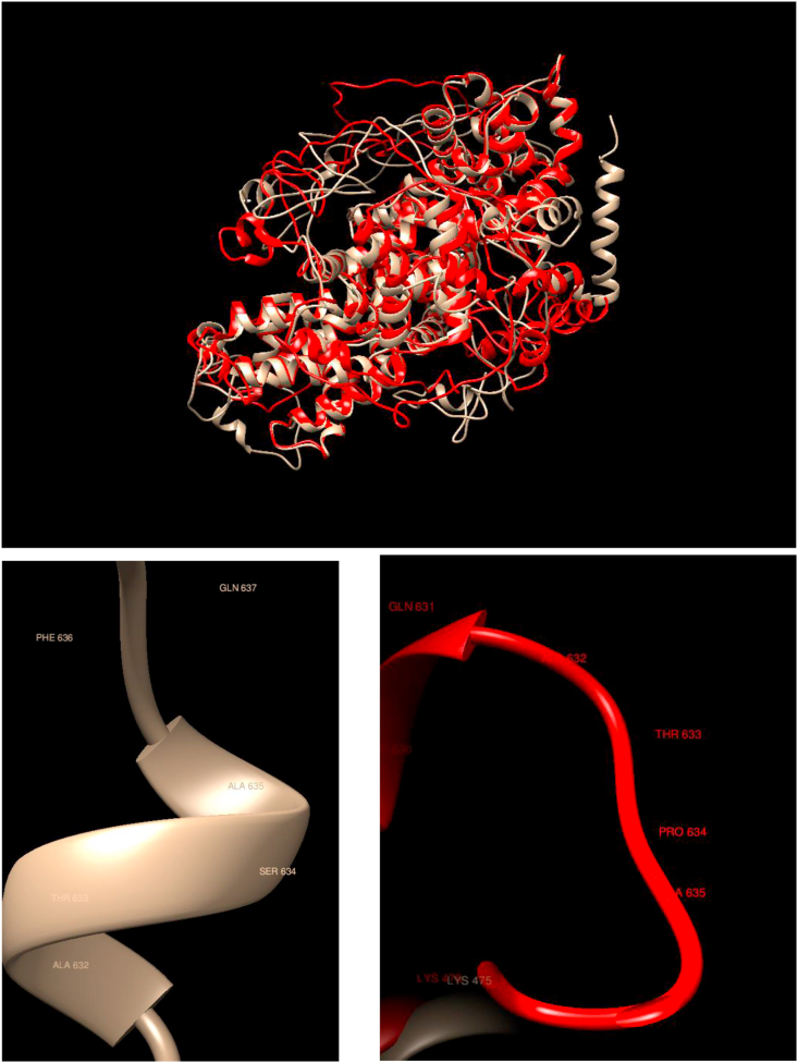 Figure 7