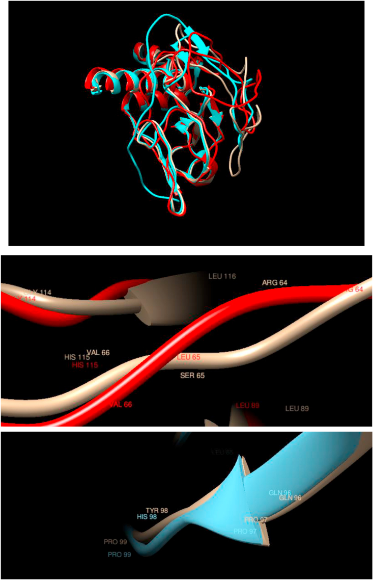 Figure 4