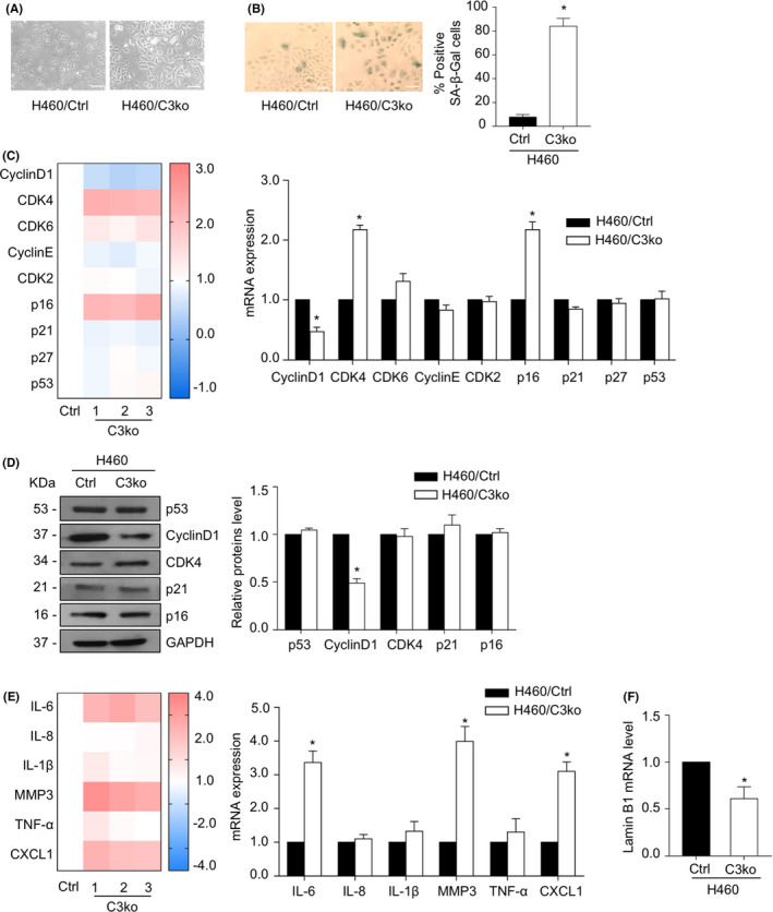 FIGURE 2