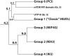 Fig 5