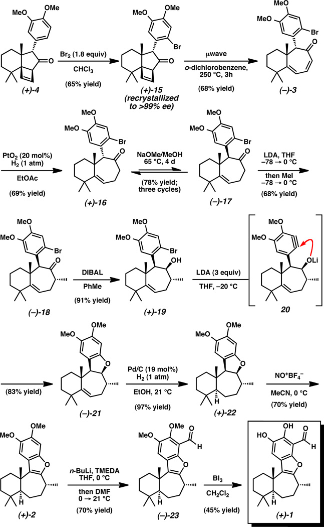 Scheme 4